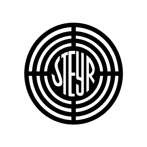 STEYR-TURBODIESEL-INTERFACES